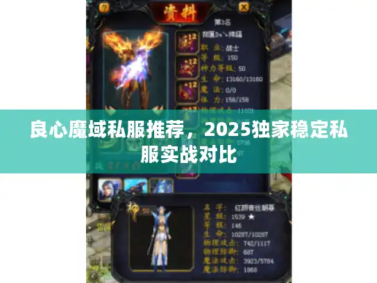 良心魔域私服推荐,2025独家稳定私服实战对比 良心魔域私服推荐,2025独家稳定私服实战对比