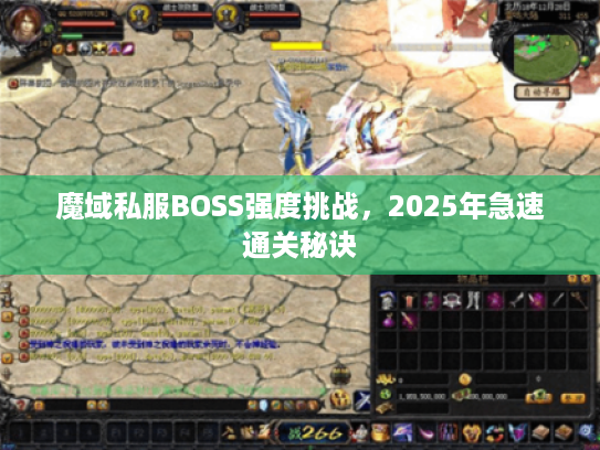 魔域私服BOSS强度挑战，2025年急速通关秘诀