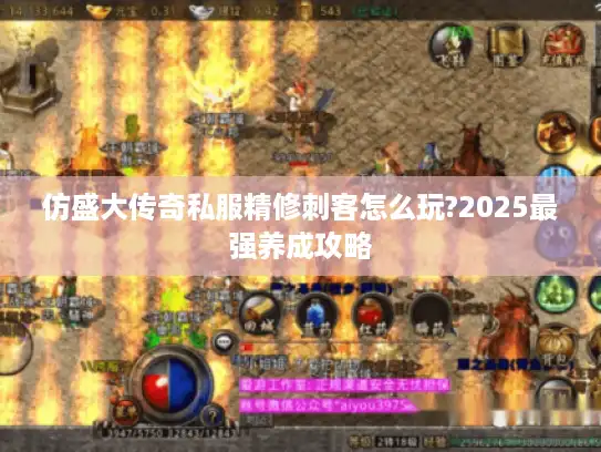 仿盛大传奇私服精修刺客怎么玩?2025最强养成攻略 仿盛大传奇私服精修刺客怎么玩?2025最强养成攻略