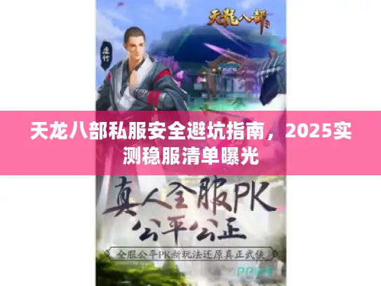 天龙八部私服安全避坑指南,2025实测稳服清单曝光 天龙八部私服安全避坑指南,2025实测稳服清单曝光