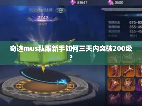 奇迹mus私服新手如何三天内突破200级?