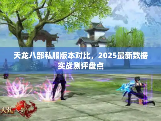天龙八部私服版本对比,2025最新数据实战测评盘点 天龙八部私服版本对比,2025最新数据实战测评盘点