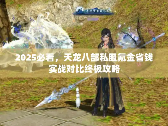 2025必看,天龙八部私服氪金省钱实战对比终极攻略 2025必看,天龙八部私服氪金省钱实战对比终极攻略