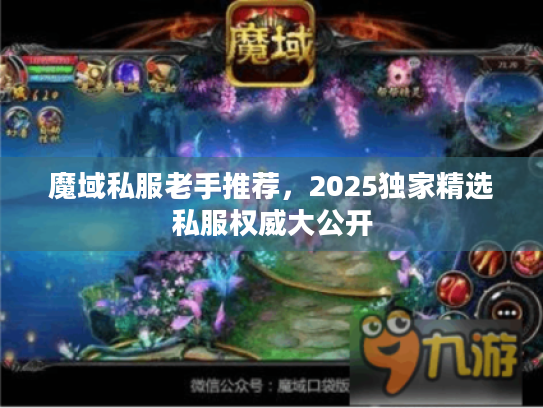魔域私服老手推荐，2025独家精选私服权威大公开