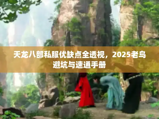 天龙八部私服优缺点全透视，2025老鸟避坑与速通手册