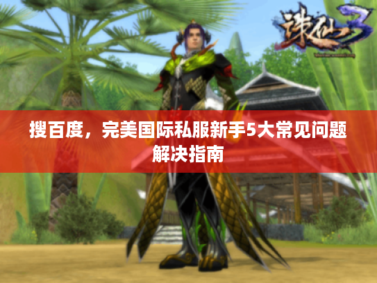 搜百度，完美国际私服新手5大常见问题解决指南