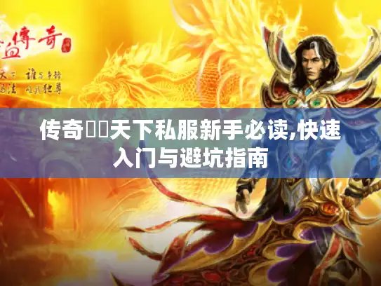传奇風雲天下私服新手必读,快速入门与避坑指南