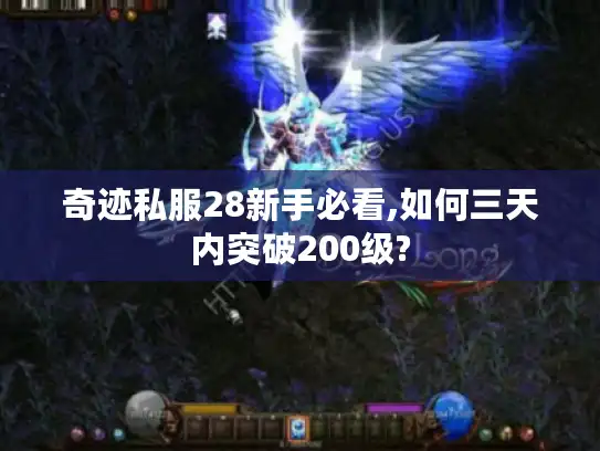奇迹私服28新手必看,如何三天内突破200级?