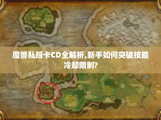 魔兽私服卡CD全解析,新手如何突破技能冷却限制?