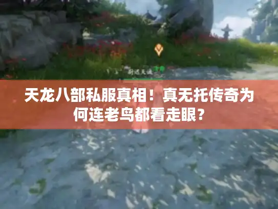 天龙八部私服真相！真无托传奇为何连老鸟都看走眼？