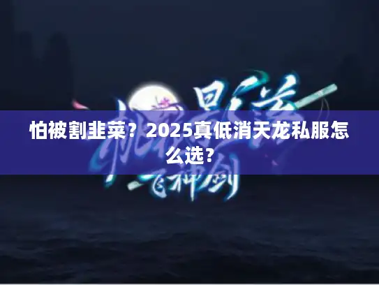 怕被割韭菜?2025真低消天龙私服怎么选? 怕被割韭菜?2025真低消天龙私服怎么选?