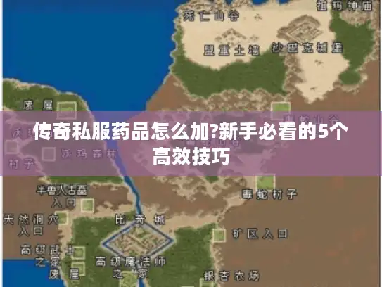 传奇私服药品怎么加?新手必看的5个高效技巧