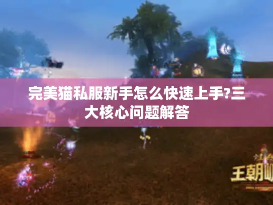 完美猫私服新手怎么快速上手?三大核心问题解答