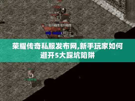 荣耀传奇私服发布网,新手玩家如何避开5大踩坑陷阱