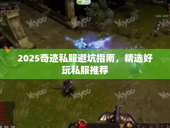 2025奇迹私服避坑指南，精选好玩私服推荐