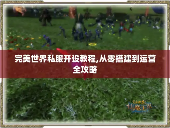 完美世界私服开设教程,从零搭建到运营全攻略 完美世界私服开设教程,从零搭建到运营全攻略
