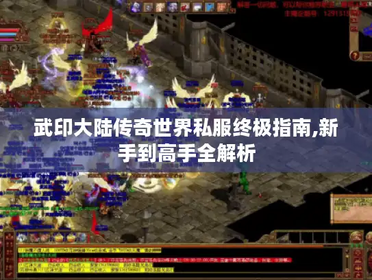 武印大陆传奇世界私服终极指南,新手到高手全解析