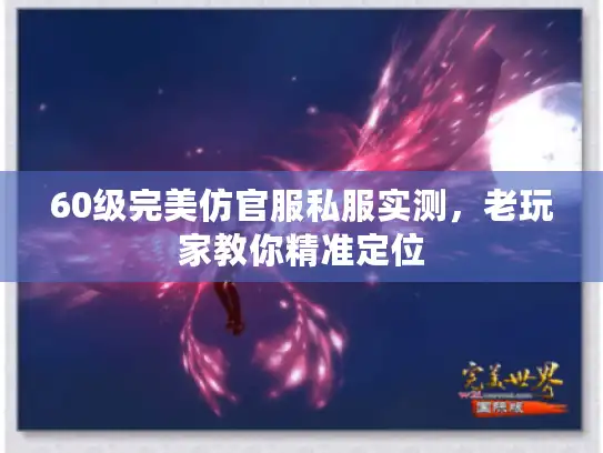 60级完美仿官服私服实测,老玩家教你精准定位 60级完美仿官服私服实测,老玩家教你精准定位