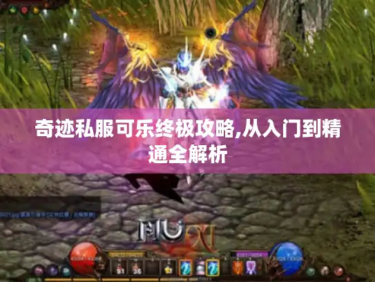 奇迹私服可乐终极攻略,从入门到精通全解析