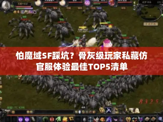 怕魔域SF踩坑?骨灰级玩家私藏仿官服体验最佳TOP5清单 怕魔域SF踩坑?骨灰级玩家私藏仿官服体验最佳TOP5清单