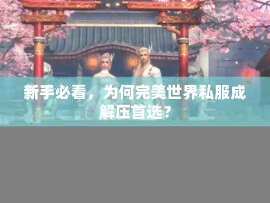新手必看，为何完美世界私服成解压首选？