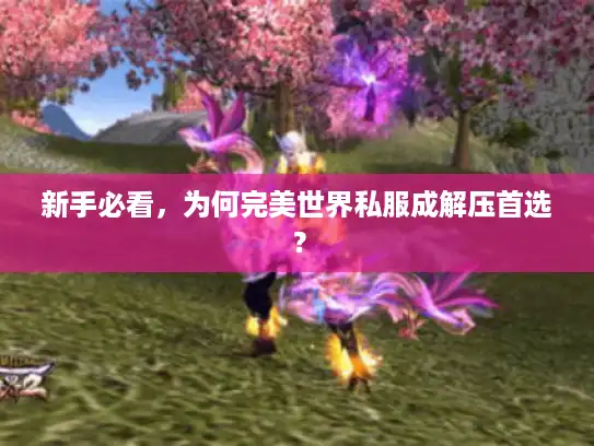 新手必看，为何完美世界私服成解压首选？