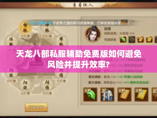 天龙八部私服辅助免费版如何避免风险并提升效率?
