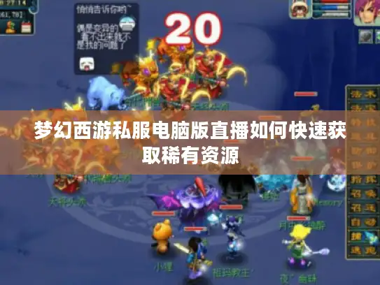 梦幻西游私服电脑版直播如何快速获取稀有资源