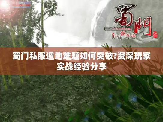 蜀门私服遁地难题如何突破?资深玩家实战经验分享