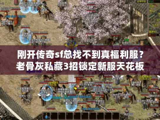刚开传奇sf总找不到真福利服?老骨灰私藏3招锁定新服天花板 刚开传奇sf总找不到真福利服?老骨灰私藏3招锁定新服天花板