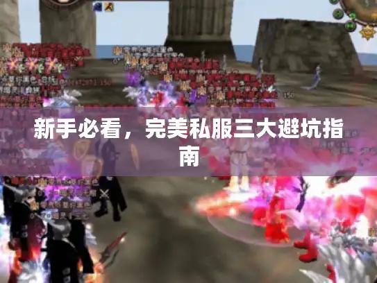 新手必看,完美私服三大避坑指南 新手必看,完美私服三大避坑指南