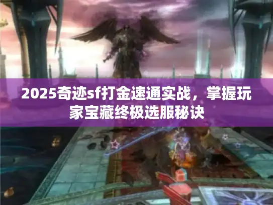 2025奇迹sf打金速通实战，掌握玩家宝藏终极选服秘诀