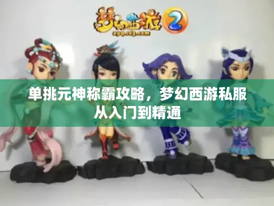 单挑元神称霸攻略，梦幻西游私服从入门到精通