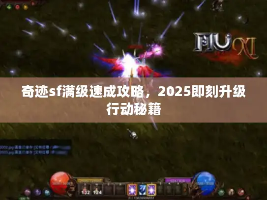 奇迹sf满级速成攻略，2025即刻升级行动秘籍