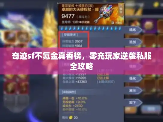 奇迹sf不氪金真香榜，零充玩家逆袭私服全攻略