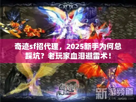 奇迹sf招代理，2025新手为何总踩坑？老玩家血泪避雷术！