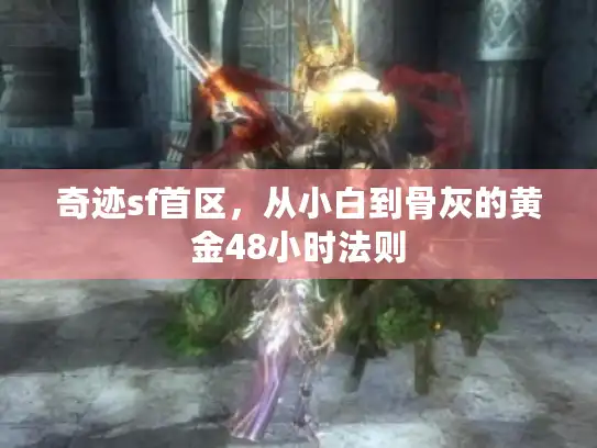 奇迹sf首区，从小白到骨灰的黄金48小时法则