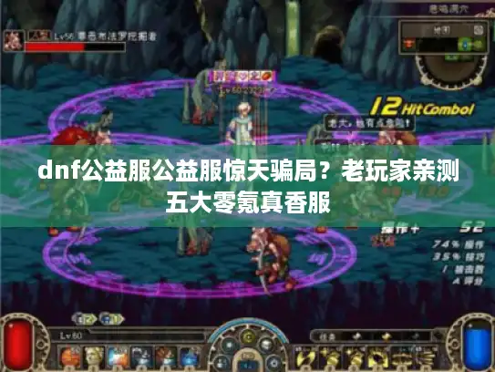 dnf公益服公益服惊天骗局？老玩家亲测五大零氪真香服