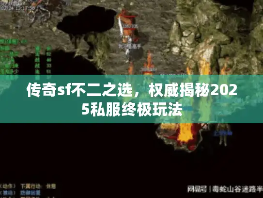 传奇sf不二之选，权威揭秘2025私服终极玩法