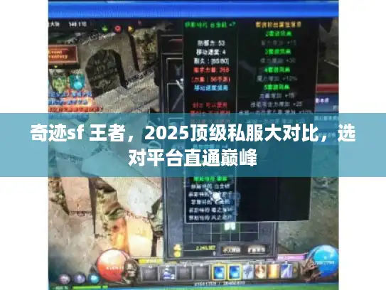 奇迹sf 王者,2025顶级私服大对比,选对平台直通巅峰 奇迹sf 王者,2025顶级私服大对比,选对平台直通巅峰