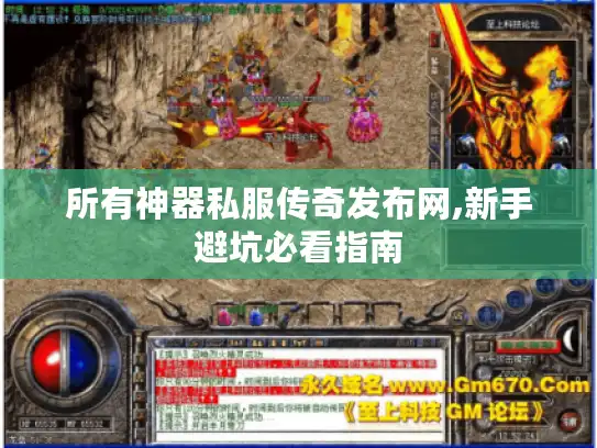 所有神器私服传奇发布网,新手避坑必看指南