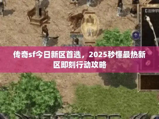 传奇sf今日新区首选，2025秒懂最热新区即刻行动攻略