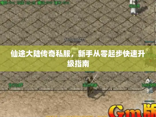 仙途大陆传奇私服，新手从零起步快速升级指南
