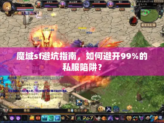魔域sf避坑指南，如何避开99%的私服陷阱？