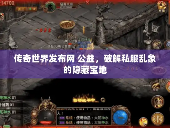 传奇世界发布网 公益，破解私服乱象的隐藏宝地