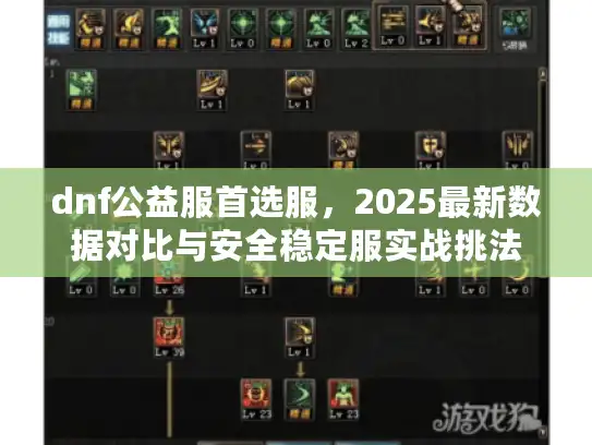 dnf公益服首选服，2025最新数据对比与安全稳定服实战挑法