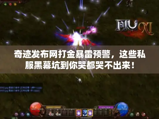 奇迹发布网打金暴雷预警，这些私服黑幕坑到你哭都哭不出来！
