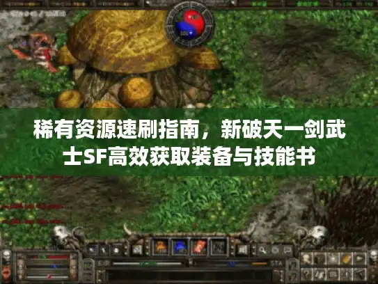 稀有资源速刷指南，新破天一剑武士SF高效获取装备与技能书