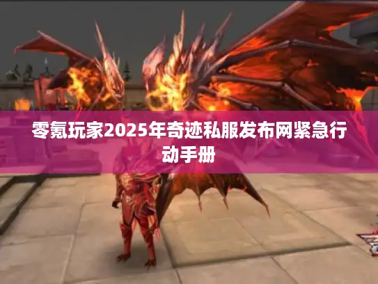 零氪玩家2025年奇迹私服发布网紧急行动手册
