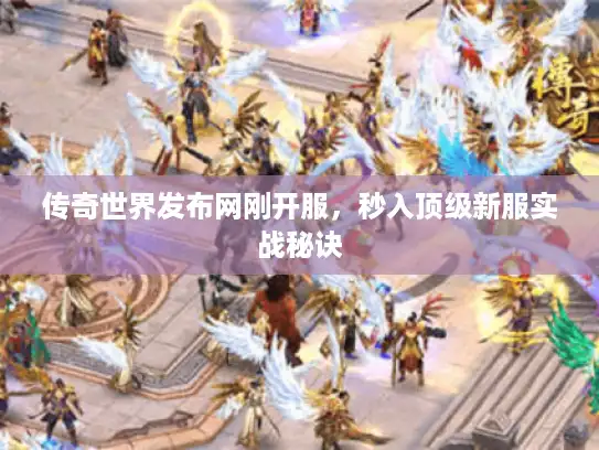 传奇世界发布网刚开服，秒入顶级新服实战秘诀